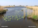 Галандыя, гістарычная вобласць