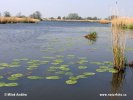 National Park Alde Feanen