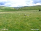 National Park Yorkshire Dales