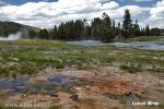 Yellowstone, Geysers