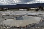 Yellowstone, Geysers