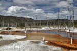 Yellowstone, Geysers