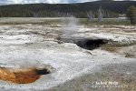 Yellowstone, Geysers