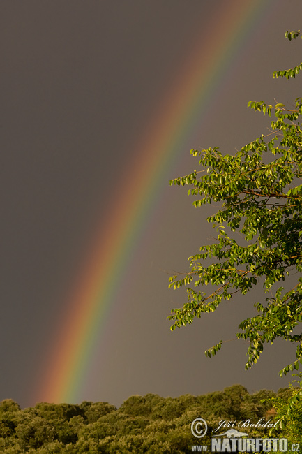 Rainbow Photos, Rainbow Images, Nature Wildlife Pictures | NaturePhoto
