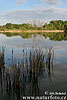 Brezovec Pond