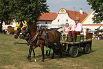 Festivities in the Village Holasovice
