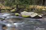 Kremelna River