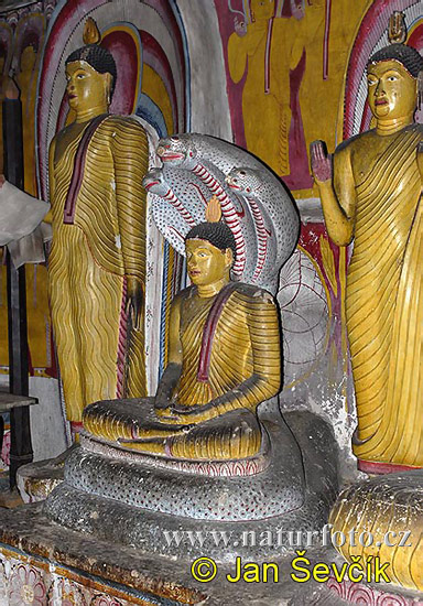 Gouden tempel van Dambulla