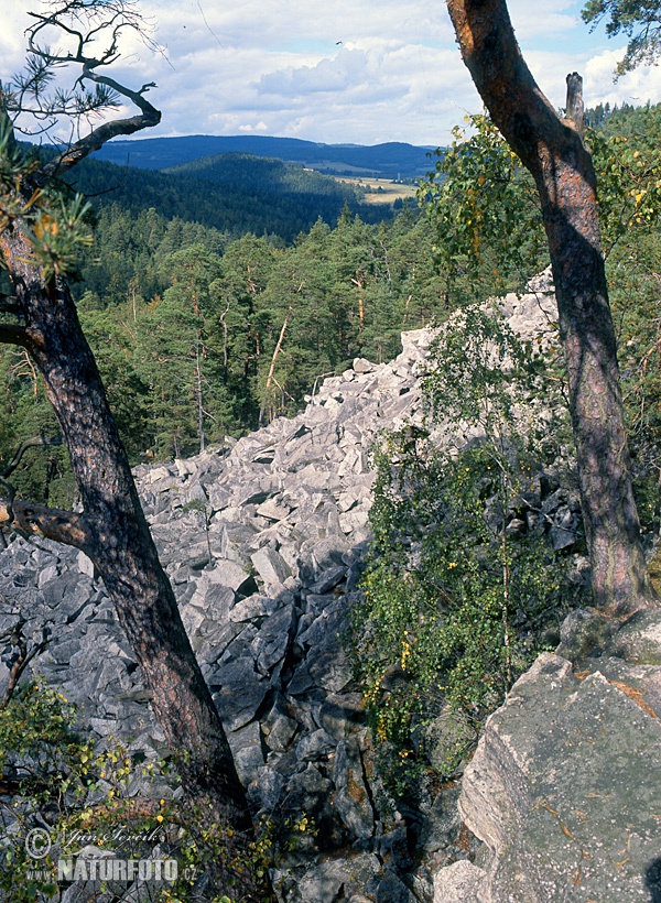 Munții Pădurea Boemiei
