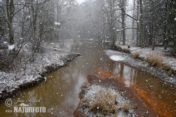 Old river Snowstorm1 (Snowstorm)