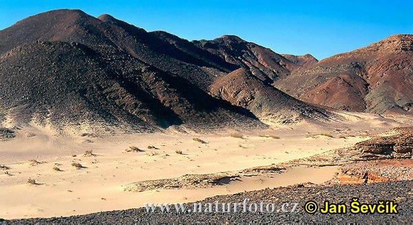 Salmo 67/68 - L'ingresso trionfale del Signore   dans A. UN PENSIERO DAI SALMI...PRIMA DELLA NOTTE sinai-desert--sinaj-2