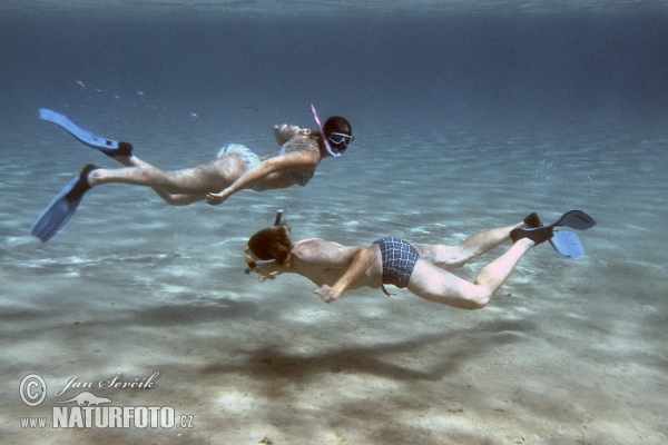 Snorchelling (People)