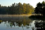 Fishpond Nové Jezero