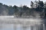 Nové Jezero fishpond