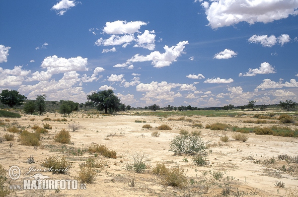 Zuidelijk Afrika