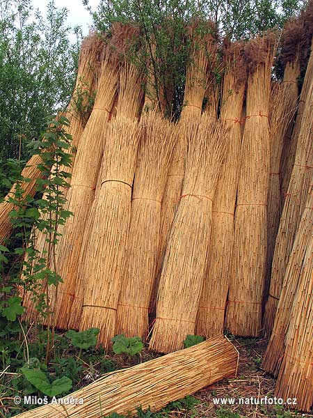 Голландия историческая область