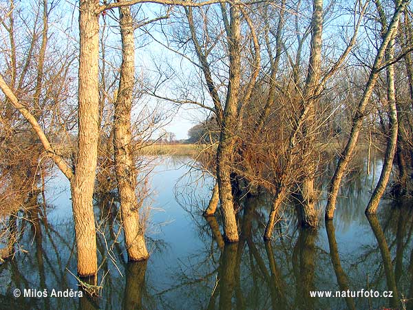 Հունգարիա