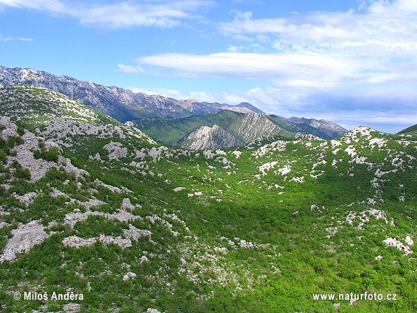 Խորվաթիա