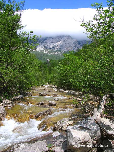 Κροατία