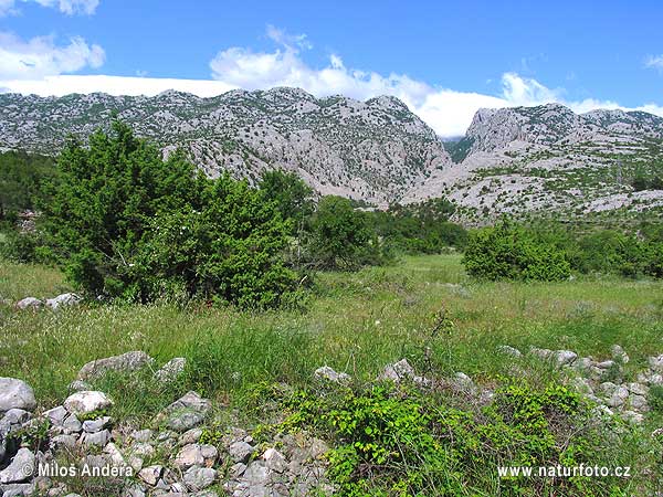 Κροατία