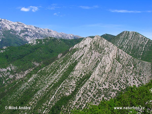 Խորվաթիա