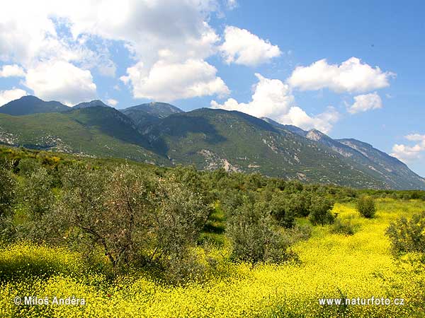 Հունաստան