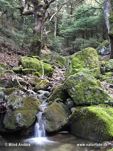 Հունաստան