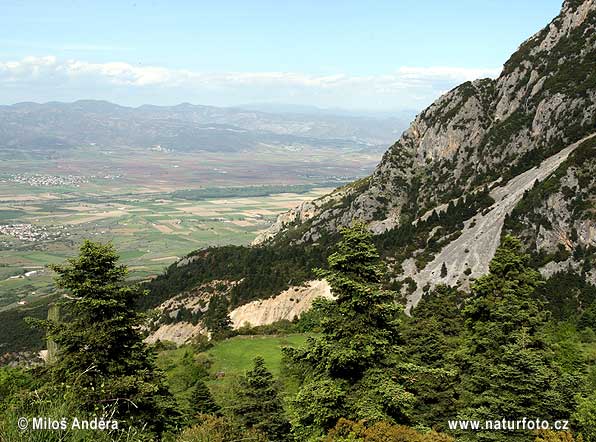 Грција