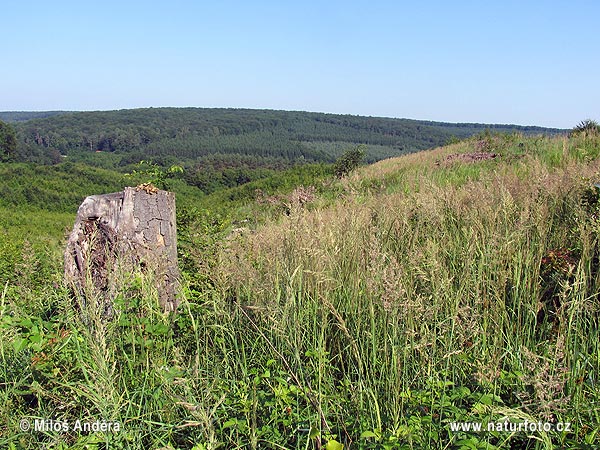 Унгария