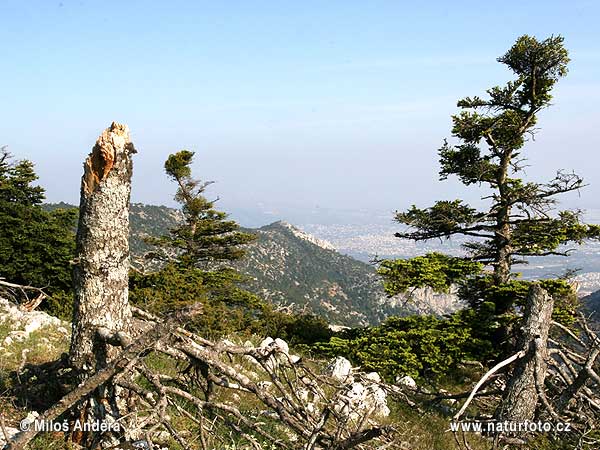 Грција