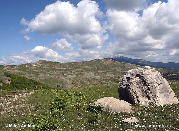 Հունաստան