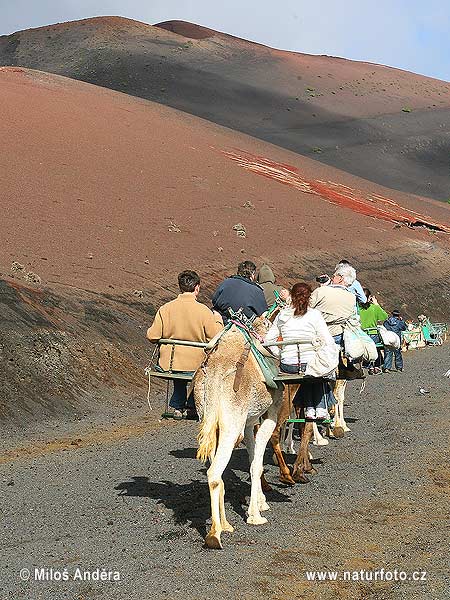 Իսպանիա