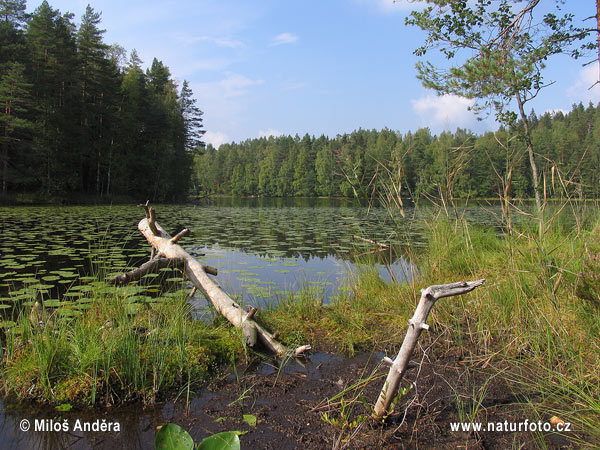 Фінляндія