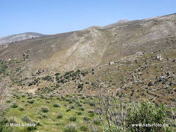 Հունաստան