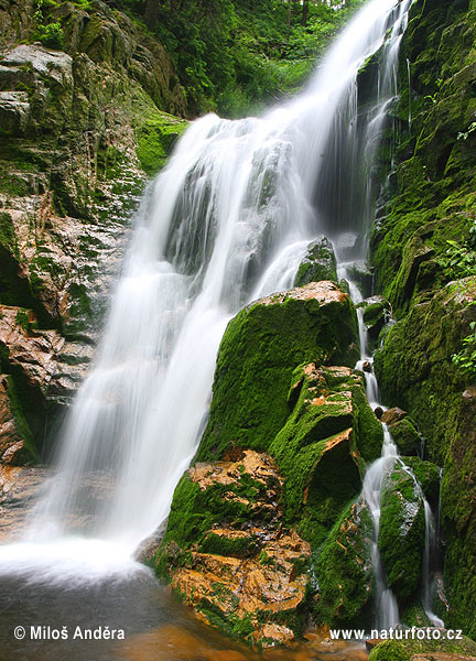 Լեհաստան