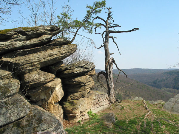 Avusturya