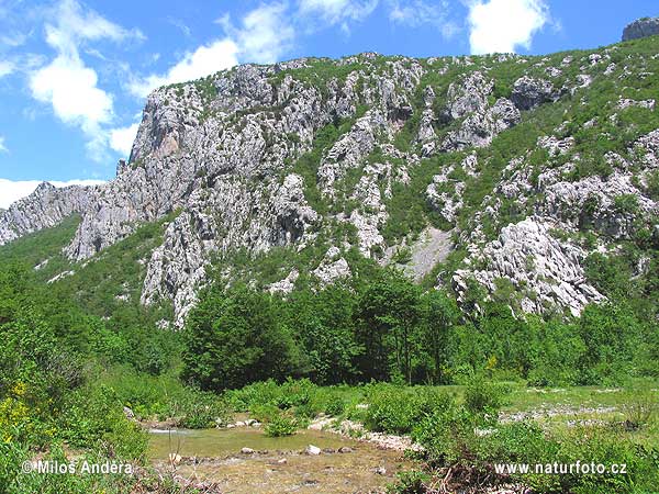 Croația