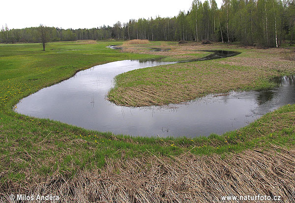 Estonia