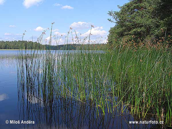 Finland