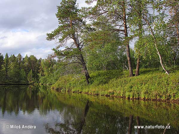 Finland