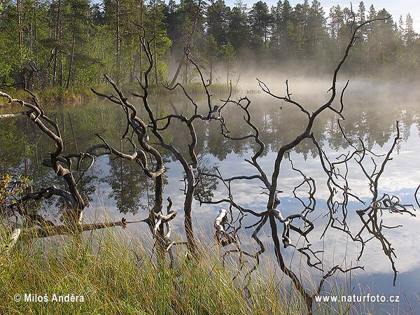 Finlande