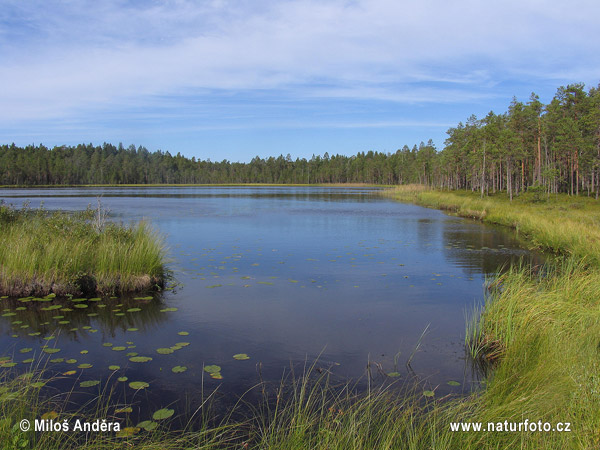 Finlandia