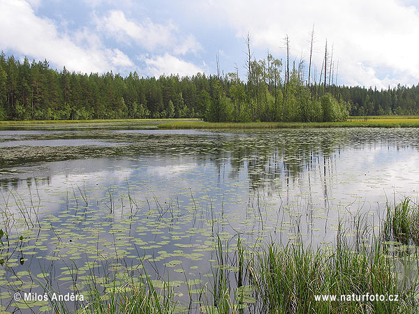 Finlandiya