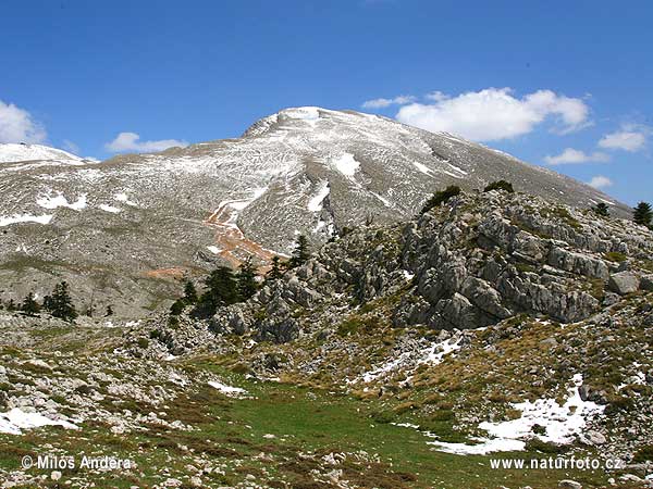 Grčka