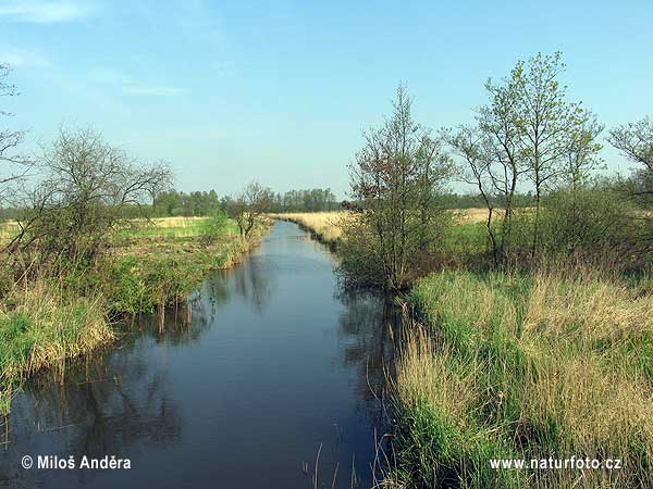 Holanda região