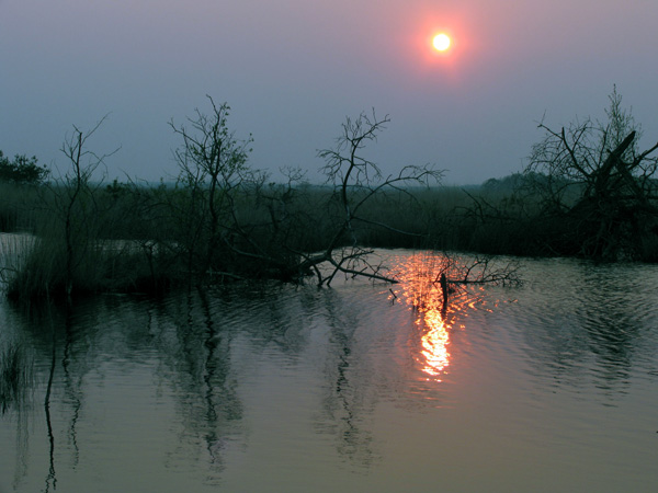 Holland region