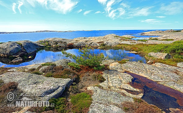 Kasterhavet National Park, Sweden (Kosterhavets nationalpark)