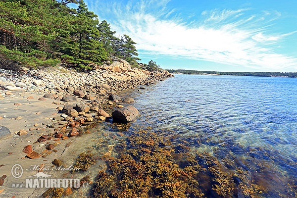 Kosterhavets nationalpark