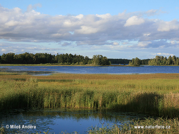 Landscape of southern Sweden (S)