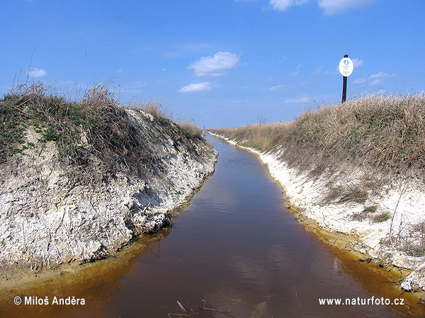 Madžarska